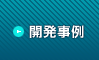 開発事例