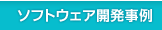ソフトウェア開発事例