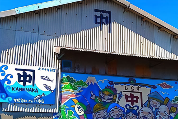 静岡市用宗(もちむね)港でしらすの加工・販売を手がける|有限会社カネナカ商店様|レーザー加工機・レーザーカッターの導入事例